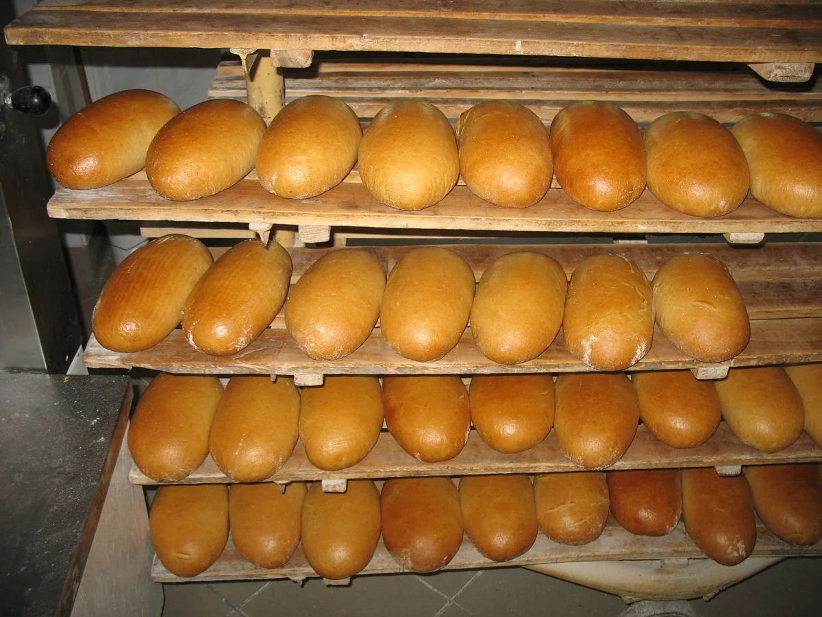 Chlebek